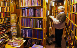 Joe & Jack in the Book Shed